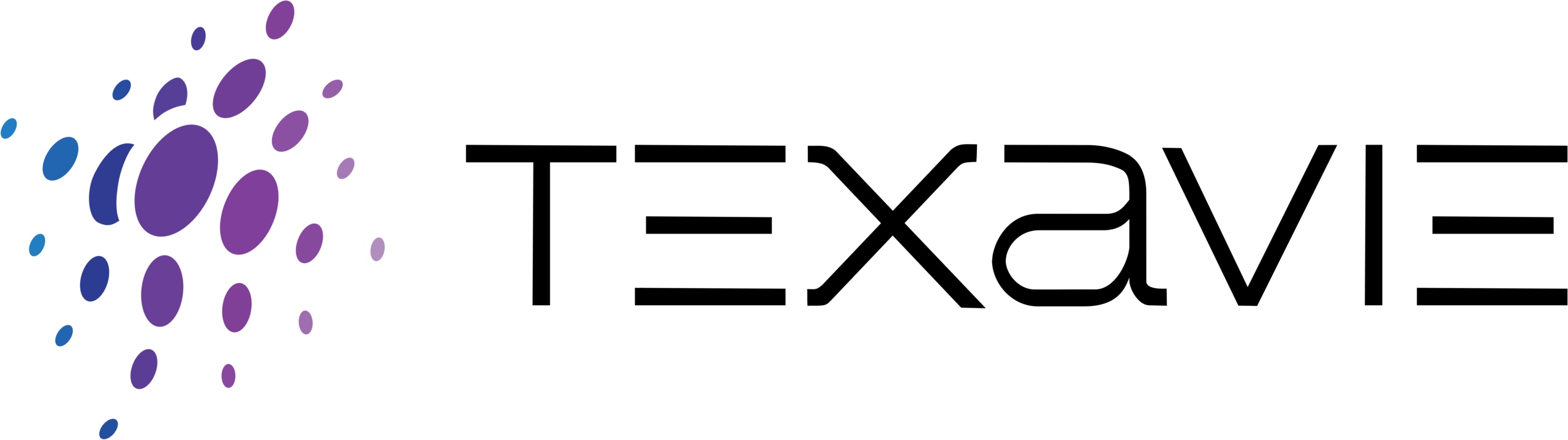 Texavie Technologies Inc.