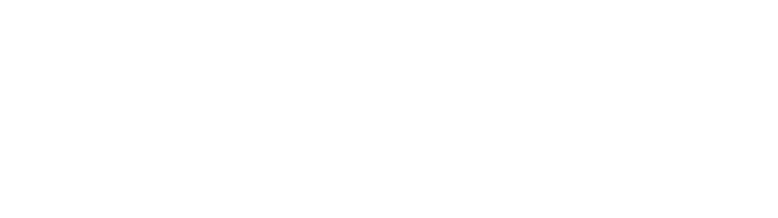 Texavie Technologies Inc.